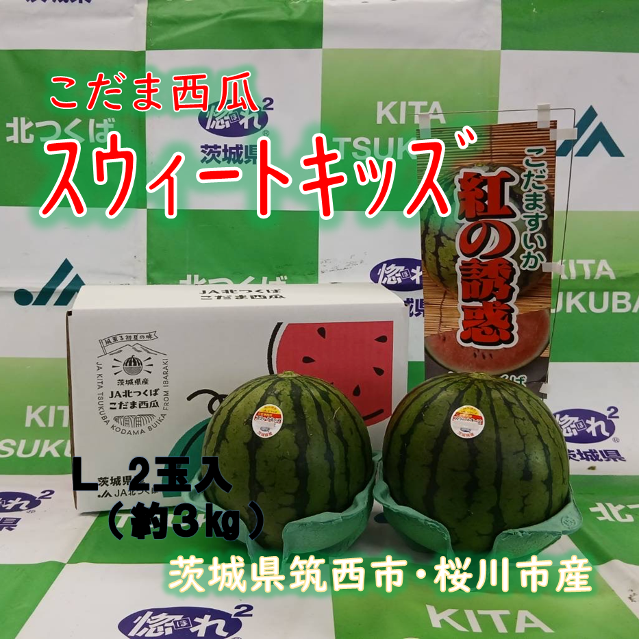 こだま西瓜（紅の誘惑）スウィートキッズ L 2玉入 | きらいちネット